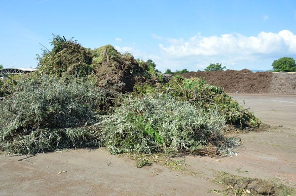 Déchets verts des ménages en provenance des déchèteries gérées par les adhérents du SYTRAIVAL