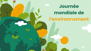 Journée mondiale de l'environnement : comment agir au quotidien pour limiter son impact ?