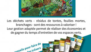 Cultivons les bonnes pratiques au jardin en valorisant les déchets verts !