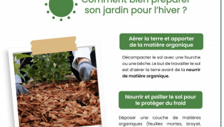 Comment bien préparer son potager pour l'hiver ?