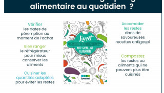 Zoom sur les bonnes pratiques pour éviter le gaspillage alimentaire