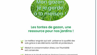 Les tontes de gazon, des ressources pour les jardins !