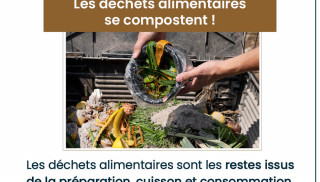 Tout savoir sur le compostage des biodéchets
