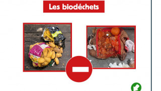 Zoom sur les erreurs de tri dans les contenants jaunes les biodéchets