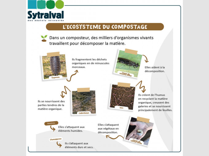L'ecosysteme du compostage