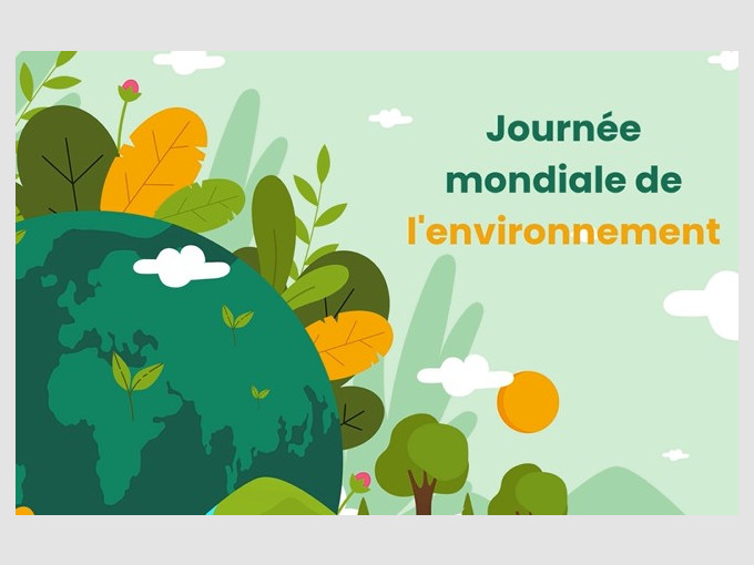 Journée mondiale de l'environnement : comment agir au quotidien pour limiter son impact ?