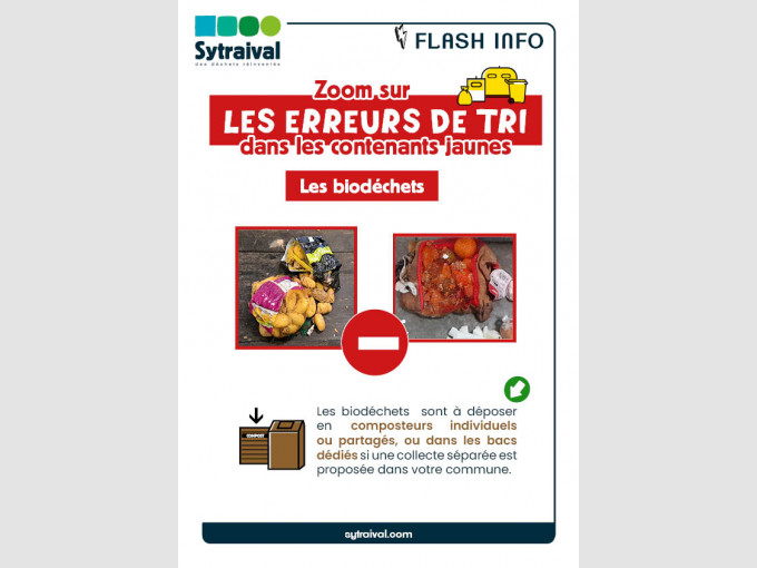 Zoom sur les erreurs de tri dans les contenants jaunes les biodéchets