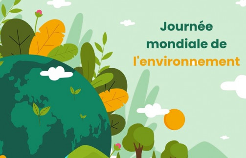 Journée mondiale de l'environnement : comment agir au quotidien pour limiter son impact ?