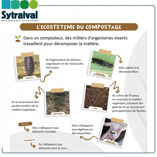 L'ecosysteme du compostage