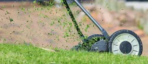 Les déchets verts de notre jardin: Une source précieuse