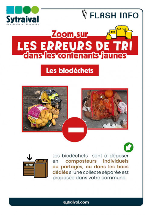 Zoom sur les erreurs de tri dans les contenants jaunes les biodéchets